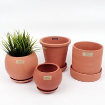 매그놀리아 다육이토분(3종) 도희네화분, 배양토