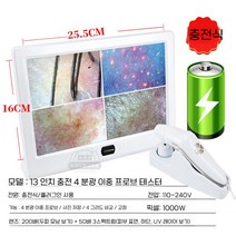 두피진단기 피부샵 두피 모발 카메라 현미경 확대경, 13인치 충전 모델