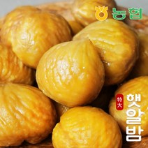 [농협] 토실토실 햇밤 순창 알밤 특대 (제수용), 1박스, 특대 1kg