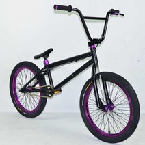 BMX 자전거 20인치 묘기 바니훕 바스핀 스턴트 색깔별