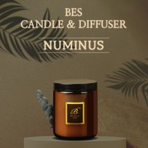 BES 누미너스 수제 캔들 강아지 고양이 냄새 제거 포함 46가지 자연향 향초, 100ml, 캔들용(심지O), Pink Sand