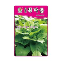 제일 취나물 씨앗 500립