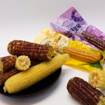 바로 먹는 국내산 삶은 찰_흑찰옥수수 노랑옥수수(태국) 강원도찰옥수수 곡성흑찰옥수수 삶은옥수수 진공포장, 흑찰옥수수 10개