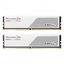 G.SKILL DDR5-6000 CL30 RIPJAWS S5 J 화이트 패키지 (64GB(32Gx2))
