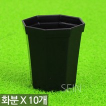 다육이화분 민트 X 10개 - 인테리어 플라스틱 미니 화분 어린이 식목일 행사 어린이집 유치원 플분 다육 선인장 식물 모종 삽목 홈 가드닝