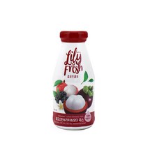 릴리프레쉬 망고스틴 리치 오디 착즙주스 250ml 12병