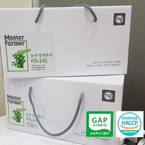 마스터파머 일등 농부 정재후의 미나리즙 100ml 30개입 유기농 갈증 숙취 건강음료 방문 명절 선물, 2박스
