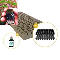 삽목용 오아시스162구+50구트레이 2장+발근력20ml+이름표사은품, 4셋트