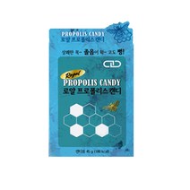 다누리 로얄 프로폴리스캔디 페퍼민트맛 36g, 6개