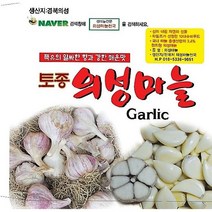 2023년 의성에서 직접재배한 의성마늘 통마늘 한지형 저장마늘+ 10 톨 덤으로 드립니다., 1개, 씨마늘종자대품3kg약70-80개