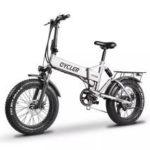 싸이클러 MX21 유럽수출용 전기자전거 광폭타이어 팻바이크 로드자전거 MTB, 기본형