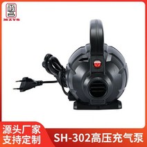 전동펌프 브라보펌프 수류탄펌프 에어 매트 캠핑 펌프 Electric air pump 600W high-pressure Camping Util, 02 2PCS_02 EU