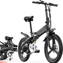 랑케레이시 G660 장거리 접이식 전기자전거 전동자건거 20인치 48V, 10AH, 실버블랙(관세포함)