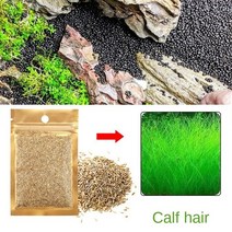 가재은신처 베타은신처 산호석 산호초 수족관 장식 귀여운 빛나는 녹색 미니 다이버 시뮬레이션 플로팅 Fro, 10 Small Calf hair