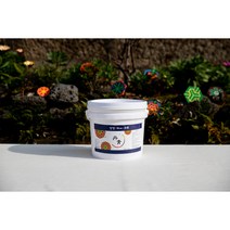 양청 1kg(북촌 단청 무기세라믹안료)