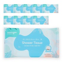 [웅진] 물없이 샤워하는 샤워티슈 대형 100g, 10개