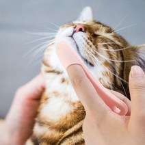 PET 고양이 턱드름 브러쉬 꼬드름 블랙 헤드 관리 고양이브 고양이턱 제거 강아지 세안, 02턱드름브러쉬-블루