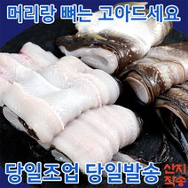[홍이네수산][당일손질] 통영 손질 바다장어 구이 아나고 1kg 2kg 3kg 특대 2-3인용 구이용 탕용(손질후750g 내외)
