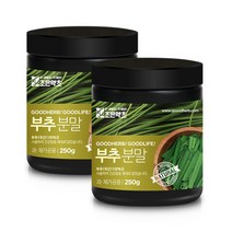 조은 국산 100% 부추 가루 분말 250g x 2