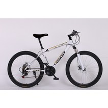 하이브리드자전거, 24inch, 4