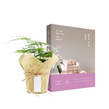 갑조네 마음을 위로하는 식물과 책 SET 아레카야자 파키라 아단소니 공기정화식물, 04.아스파라거스, 책+종이커버+마끈(170cm)+만능키트+행택