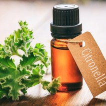 시트로넬라-천연에센셜오일, 10ml
