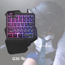 한손키보드 기계식 서든어택 게이밍 미니 작업용, 없음, 공식 표준, 04.프리미엄 G30 RGB 에디션 비기계식