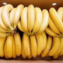 고당도 프리미엄 바나나 1박스 7kg 13kg 대용량 식사대용 아이간식, 반박스(7kg내외) 5송이(송이당 6-10개)