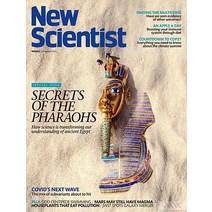 New Scientist Uk 2022년11월05일호 (뉴 사이언티스트 영국 과학 자 주간 잡지) - 당일발송