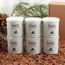 홍천잣 선물 세트 캔 잣 견과류 국내산 백 잣, 100g×6캔 (총600g)