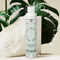 [러스미] 룸&섬유향수 딥퍼퓸 100ml 6종 사은품 엽서증정 비누 복숭아 꽃집 머스크향 니치향수, 6 인 더 바스 100ml