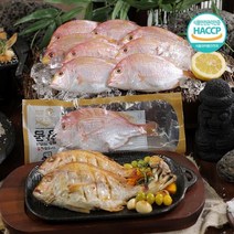 제주 자연산 황돔 12미 총 1.8kg, 없음