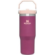 Stanley 스탠리 IceFlow 스테인리스 텀블러 빨대 포함 보온 보냉병, 30oz, Raspberry, Raspberry