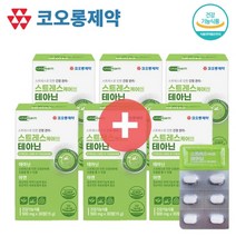 코오롱제약 긴장완화제 직장인스트레스 스트레스케어엔 테아닌 영양제 해소제, 6박스(6개월분)