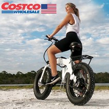 관부가세무료 750W 2023 최신형 ZSTONE E-20인치 전기팻바이크 전기자전거, 7단, 메탈릭화이트