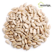 [우리가스토리] 햇 해바라기씨(불가리아산) 1kg 해바라기씨, 2봉