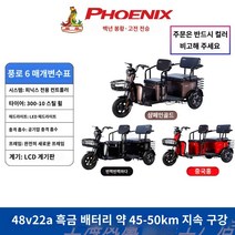 충전식 전기 삼륜자전거 45km 운동 스쿠터 애견 실내 피닉스 전기 세발자전거 위한 소규모 가족 승하차 노인용, A.48V, X.Fengtu 6 (48v22a 블랙 골드 배터리 3