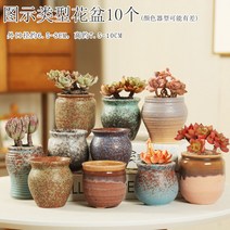 다육화분 다육이 심폴 화분 식물 미니 화분세트, 도자기, 옵션59