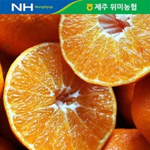 제주 위미농협 천혜향 1.8kg(5-9과), 단품