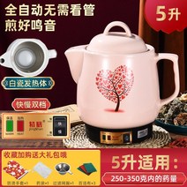 3l4l5l6l7 리터 세련된 식사 달인 냄비 자동 한약 냄비 전기 캐서롤 가정용 요리 냄비 약 냄비 약 냄비, 사랑의약통(자동+삐)파우더 5L