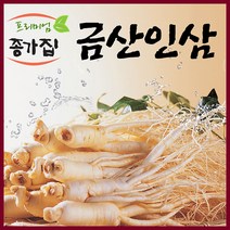 금산인삼 무료세척 세척인삼500g 세척인삼난발삼 세척인삼원수삼500g, 1팩, 무료세척 세척원수삼 튀김용/삼계탕용 중500g(20~30뿌리)   새 상품