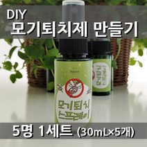 [더위치] DIY 천연 모기퇴치제 만들기 5인세트 모기 퇴치 스프레이
