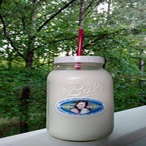 Kefir Fermenter (1.5l/50oz) with Kefir Grains (20g) null, 1, colorless
