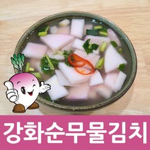 강화도토박이 강화 순무 순무김치 가을 강화도, 1통, 순무물김치 1.5kg