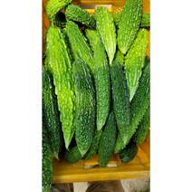 생여주 국산여주 국내재배 생여주, 1kg, 1개