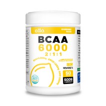브랜드없음 올라 파우더 6000 BCAA, 500g, 1개
