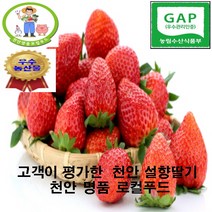 [천안 명품 로컬푸드] 명절 선물용 국내 최초 로컬푸드 온라인 전용매장 농부생산 당일 수확 발송 프리미엄 햇 설향 딸기 700g 24구 35구(왕특 2박스주문딸기즙증정), 24구(왕특) * 2박스(주문딸기즙증정)