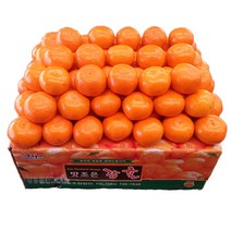 자체브랜드 타이팩 비가림 감귤 5kg, 밀감L크기