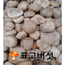 표고 국산 표고버섯 상 1kg 내외 발품장터, 1개