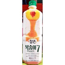과일 음료 베이스 복숭아 농축액 참존 835ml x12개복숭아농축액 복숭아음료 복숭아 음료원액 음료엑기스 농축액 음료베이스 음료베이스액상 주스 과즙음료 업소용 식당용 식당, 본상품